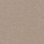 CHARMED HUES Biscotti