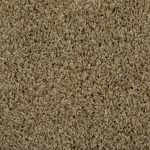 Crested Butte Santa Rosa