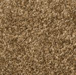 Crested Butte Southern