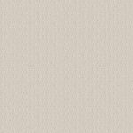 LOOP DE LOOP CANVAS