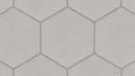 Pewter Hexagon Color Swatch