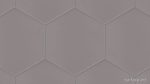 Grey Hexagon